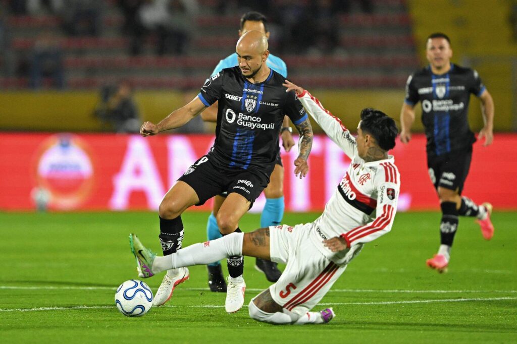 Flamengo del valle