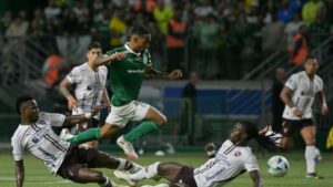 Palmeiras libertadores